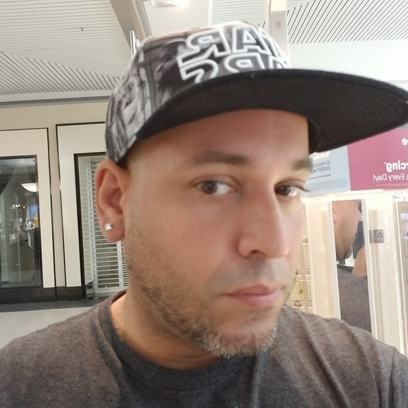 zanderart